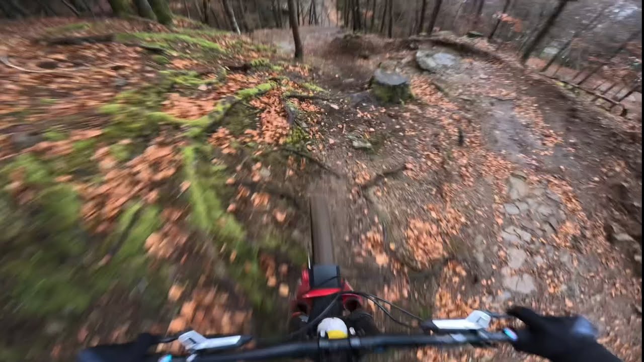 Bikepark Todtnau in DECEMBER!