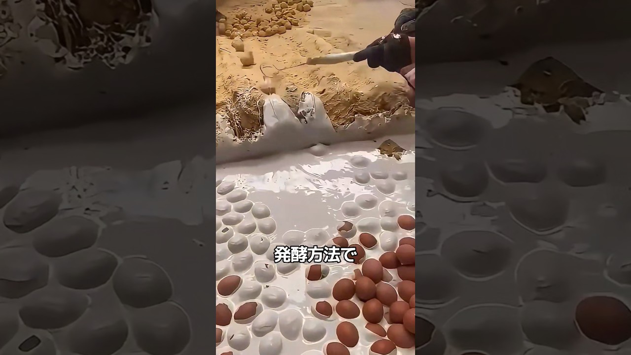 卵をセメントに埋める理由