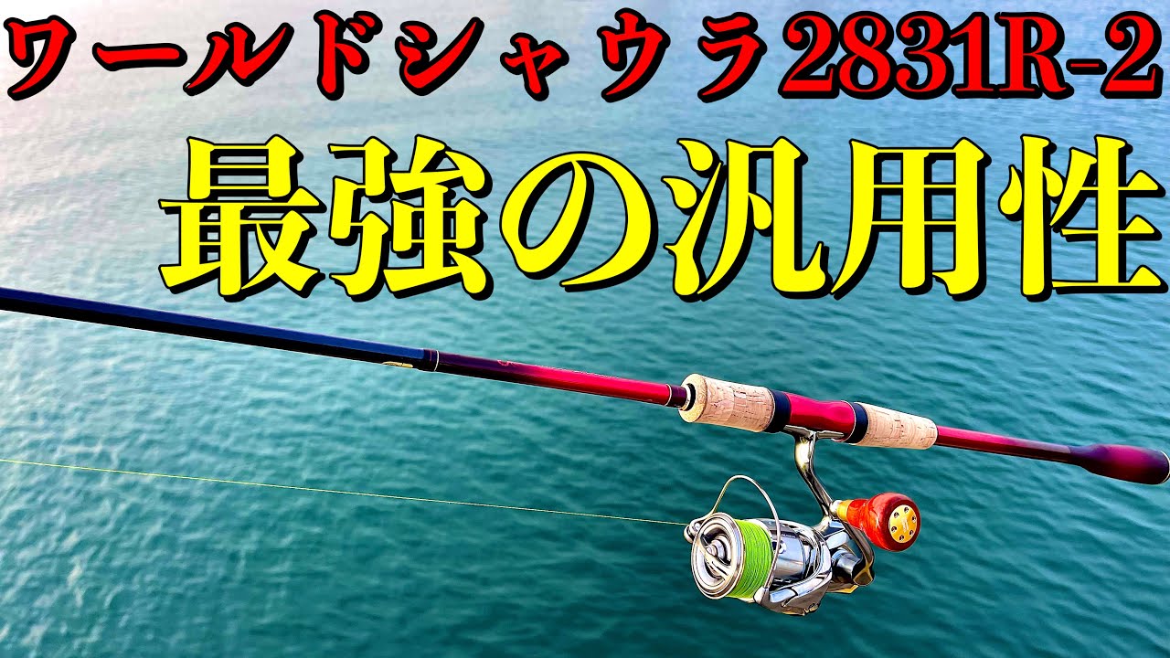 ワールドシャウラ2831R-2の長期使用インプレ