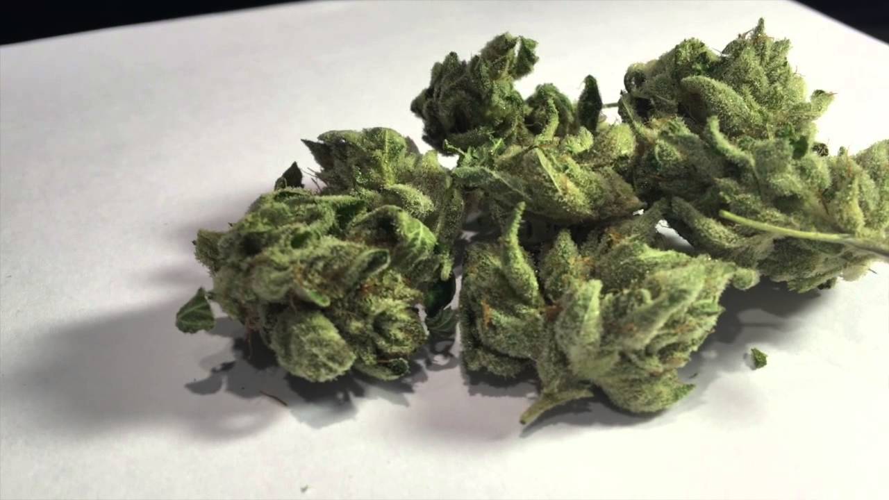 Gorilla Glue Review | This Weed