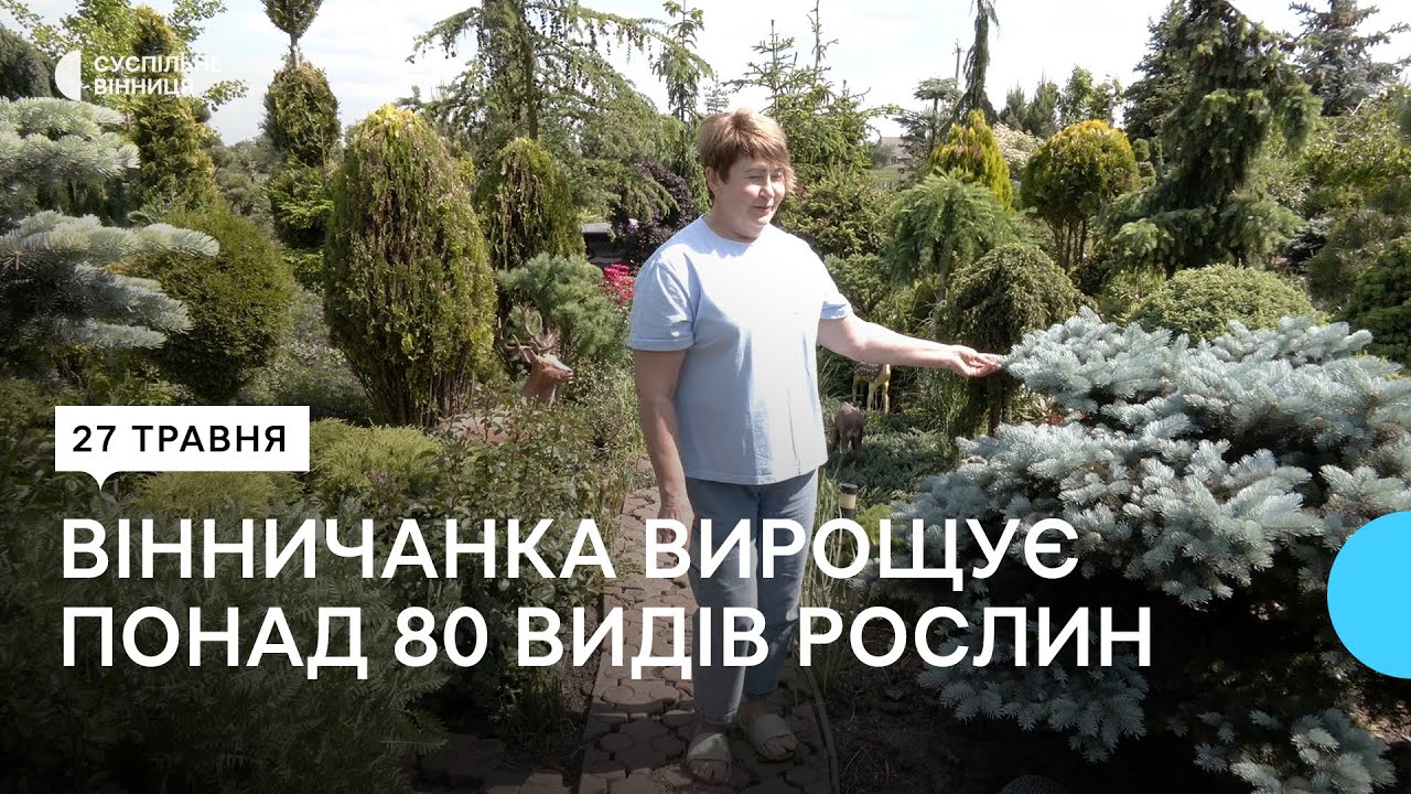 Кипариси, туї, ялинки, сосни, модрину: історія вінничанки, яка вирощує понад 80 видів рослин