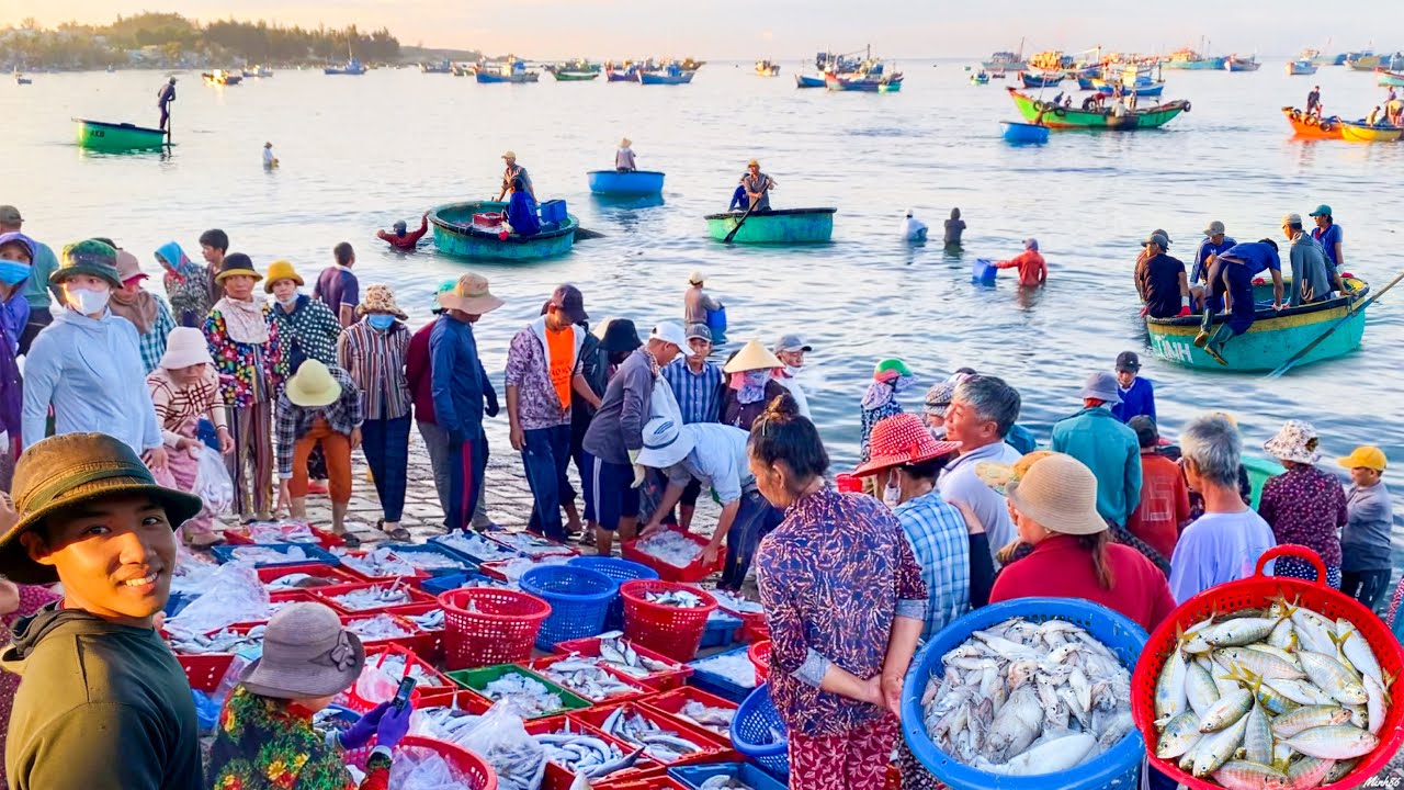 Mùa Gió Bấc Ngư Dân Về Bến La Gàn | Gần Cả Tấn Cá Ngân Lưới Rút Đêm