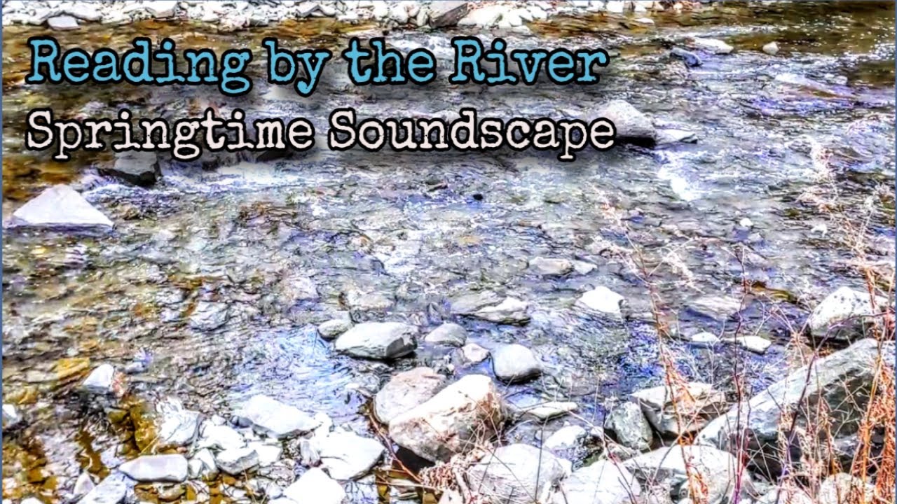 Spring Soundscape 🌷 Reading by the Riverside (river, wind, chimes, birds, insects, digging soil)