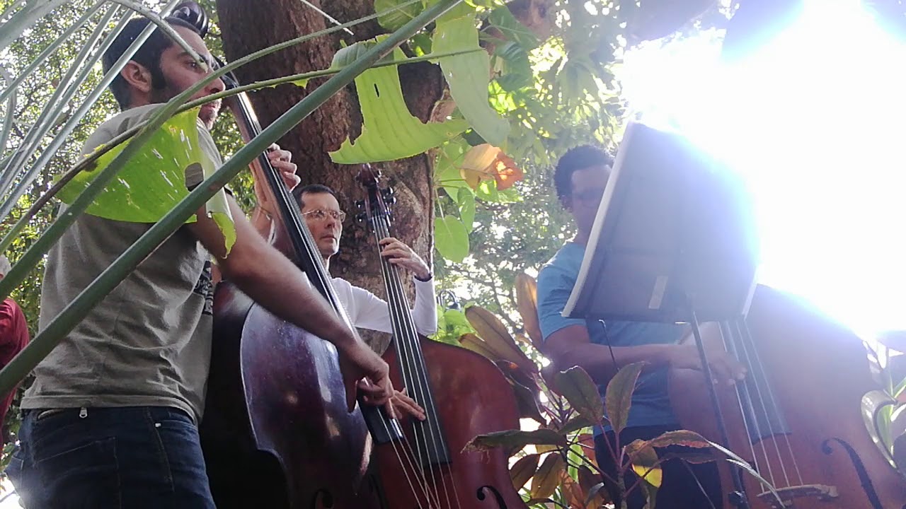 Caraminhola - Jayme Vignoli