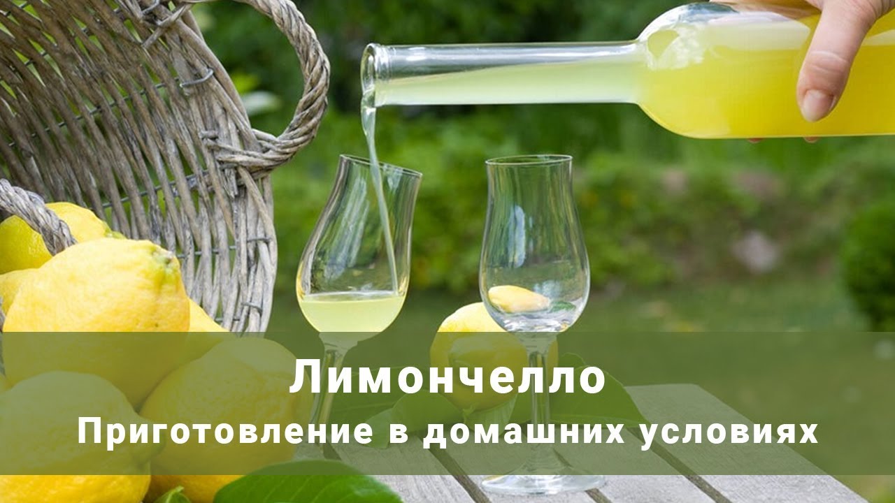 Как сделать лимончелло дома? Приготовление лимончелло в домашних условиях. Рецепт