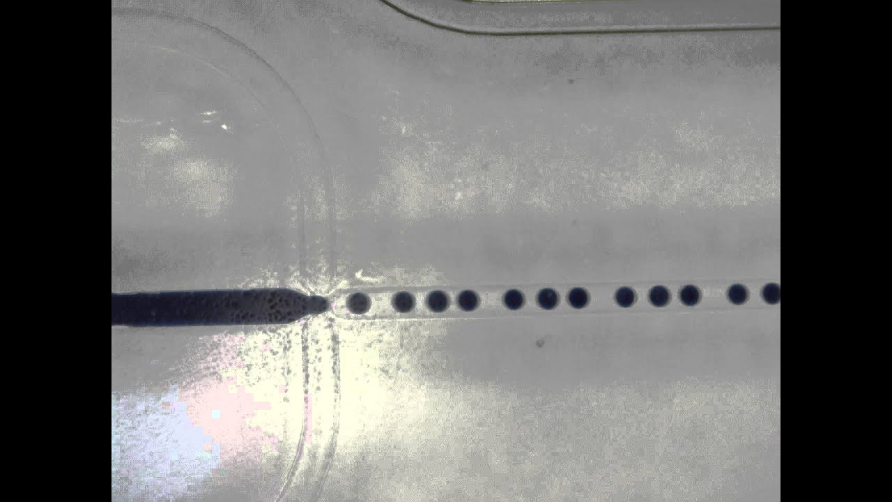 Droplet generation in a flow focusing microfluidic chip using OB1 Mk3 pressure controller
