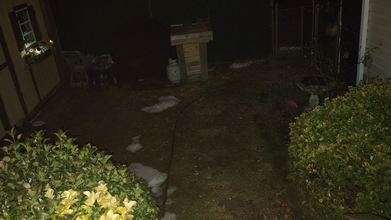 Garden Aquatics  is live! checking the yard and preparing for the next storm this is a big one