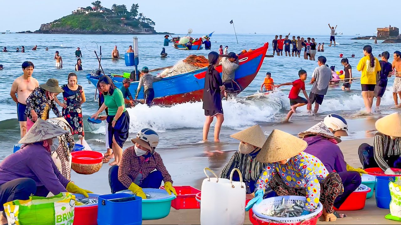 Bến Cá Trích Dưới Chân Núi Tao Phùng Vũng Tàu║Chợ Cô Giang Bán Hải Sản Trên Những Cung Đường