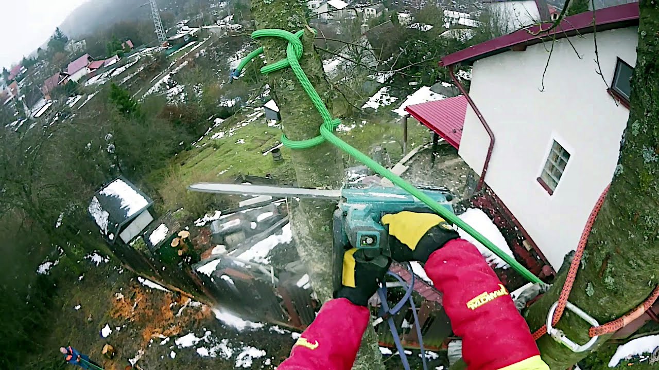 Rizikové rezanie konára vo výške 7 m – istenie, technika a zachytenie na lane