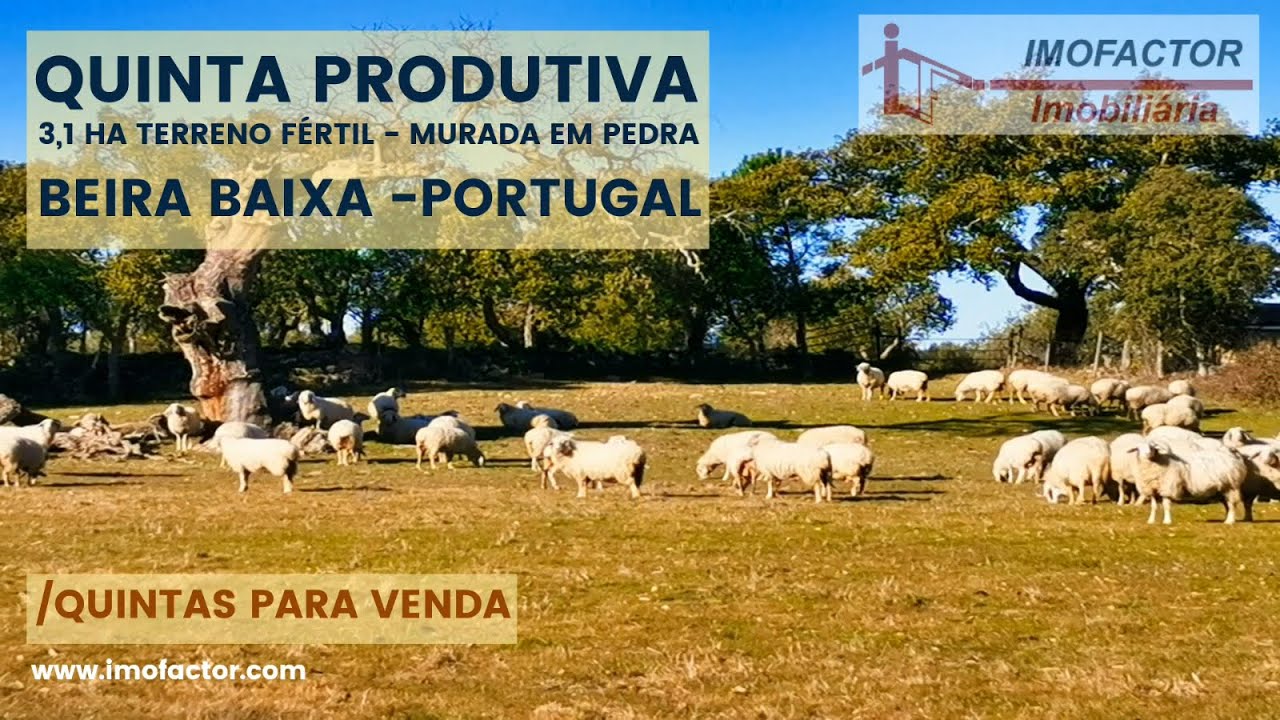 🌾 Quinta para Venda - Terreno Fértil - Castelo Branco | 48000€