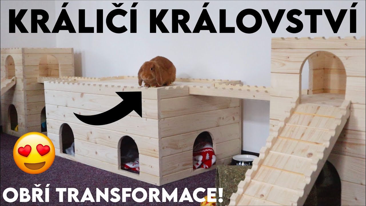 Měním obývák na KRÁLIČÍ MÍSTNOST! - Obří transformace 🤩