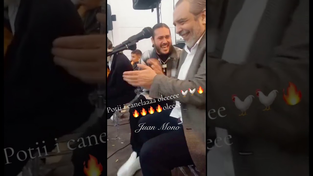 Canelita & potito por bulerías 2025 (Nuevo)