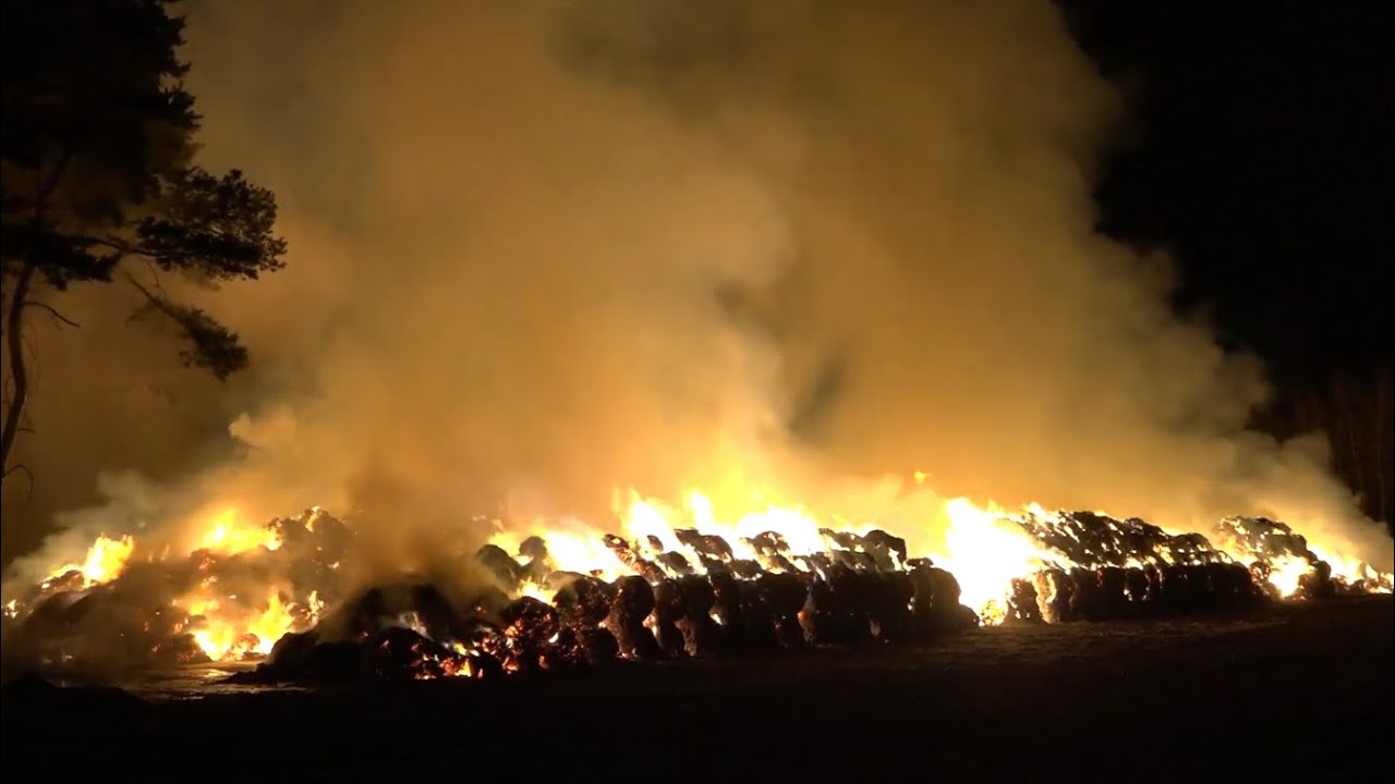 [FLAMMENINFERNO - 5000 STROHBALLEN BRENNEN] Großbrand in Hopsten - Angrenzender Wald nicht betroffen