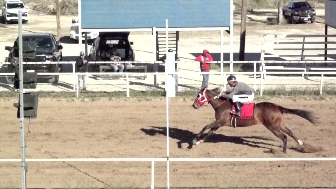 RACE   4 C. MARIGUANO