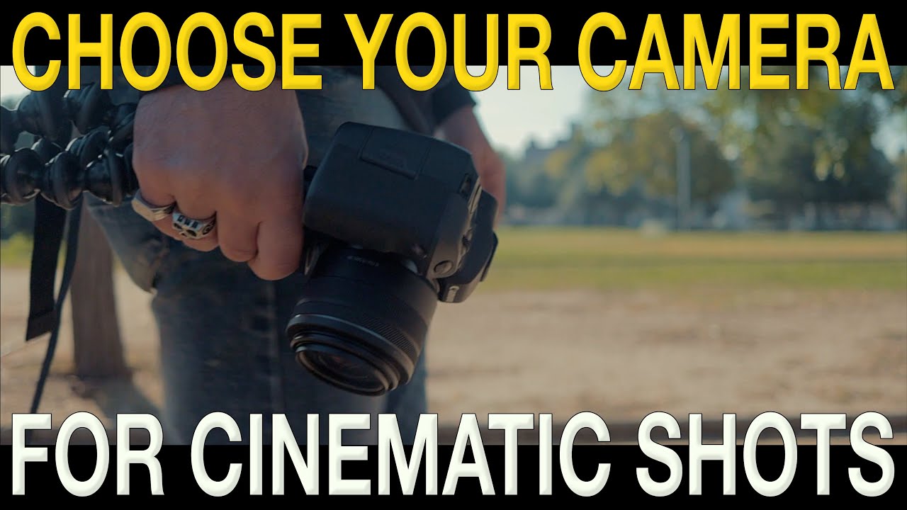Canon R6, Canon EOS R, Canon 90D - Which Camera is the Best?
