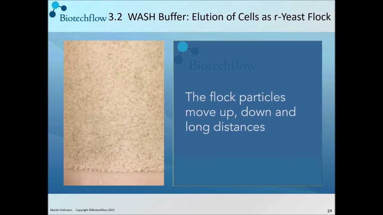 BIOTECHFLOW What is Expanded Bed Adsorption Chromatography