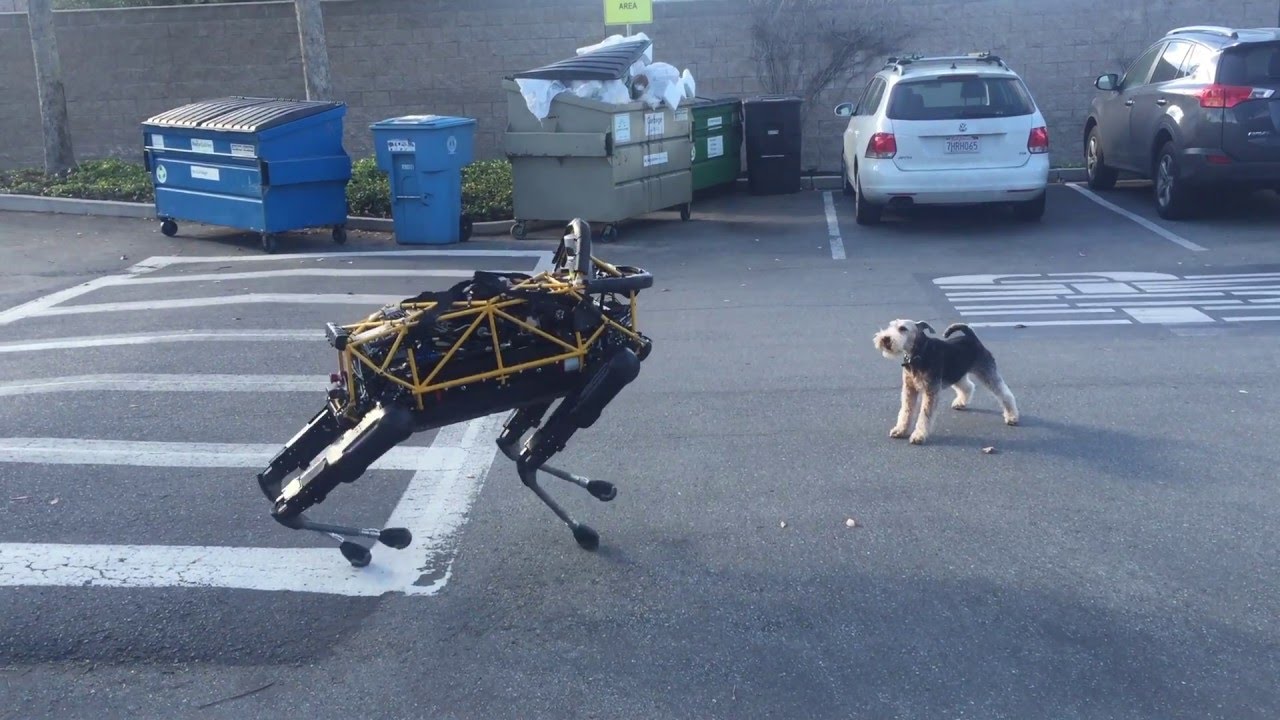 Fido vs Spot — Animal vs Robot
