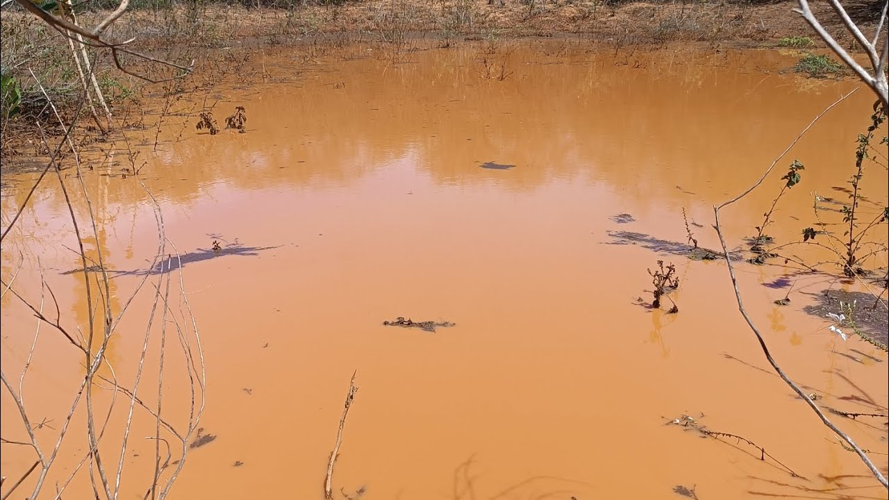 Graças a Deus, choveu bastante aqui no sítio cachoeira grande município de Tabira-Pe.