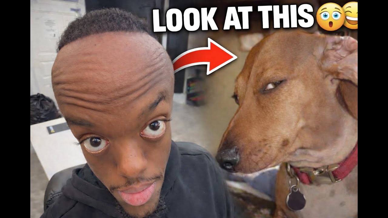 So funny, you can’t stop laughing |part 1😂|
