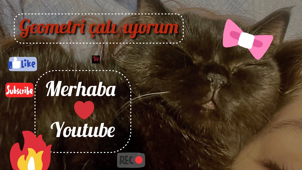 2 SAAT GEOMETRİ ÇALIŞTIM (STUDY WİTH ME)