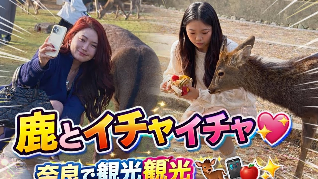 奈良公園に行って、日本一かわいい鹿を見ました🦌💕 日本の有名な鹿は驚くほど人懐っこい 🔥 奈良公園 Amazing Nara park 🦌🌿