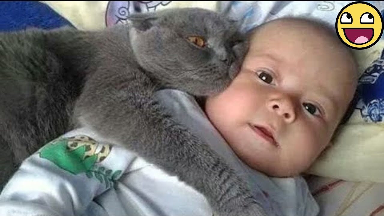 Funny Babies and Their Pets Creating Heart-Melting Moments 🐾❤️🤣