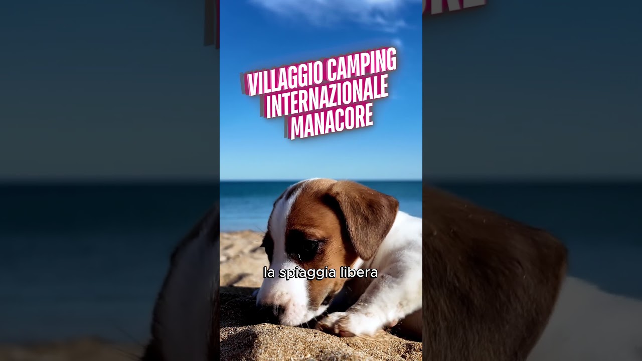 2 strutture Pet Friendly in Puglia