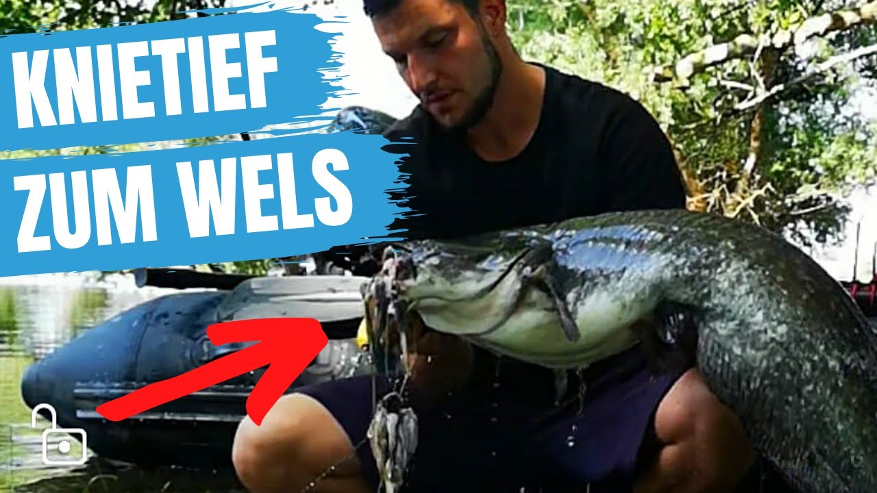 ❌ Wie auf Wels zu Hochwasser? Abspannen | Wallerk&ouml;der Tintenfisch K&ouml;der Calamari | DUDIS Q&A #3
