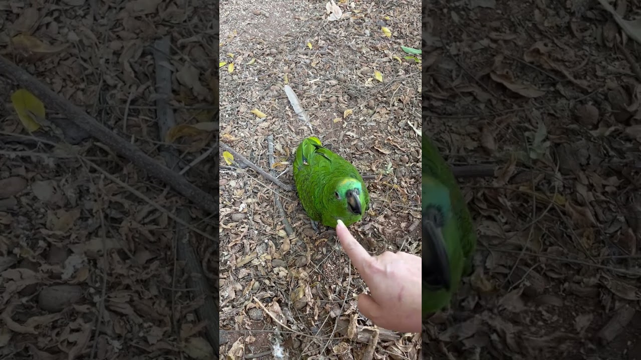 N&atilde;o quero brincar mam&atilde;e