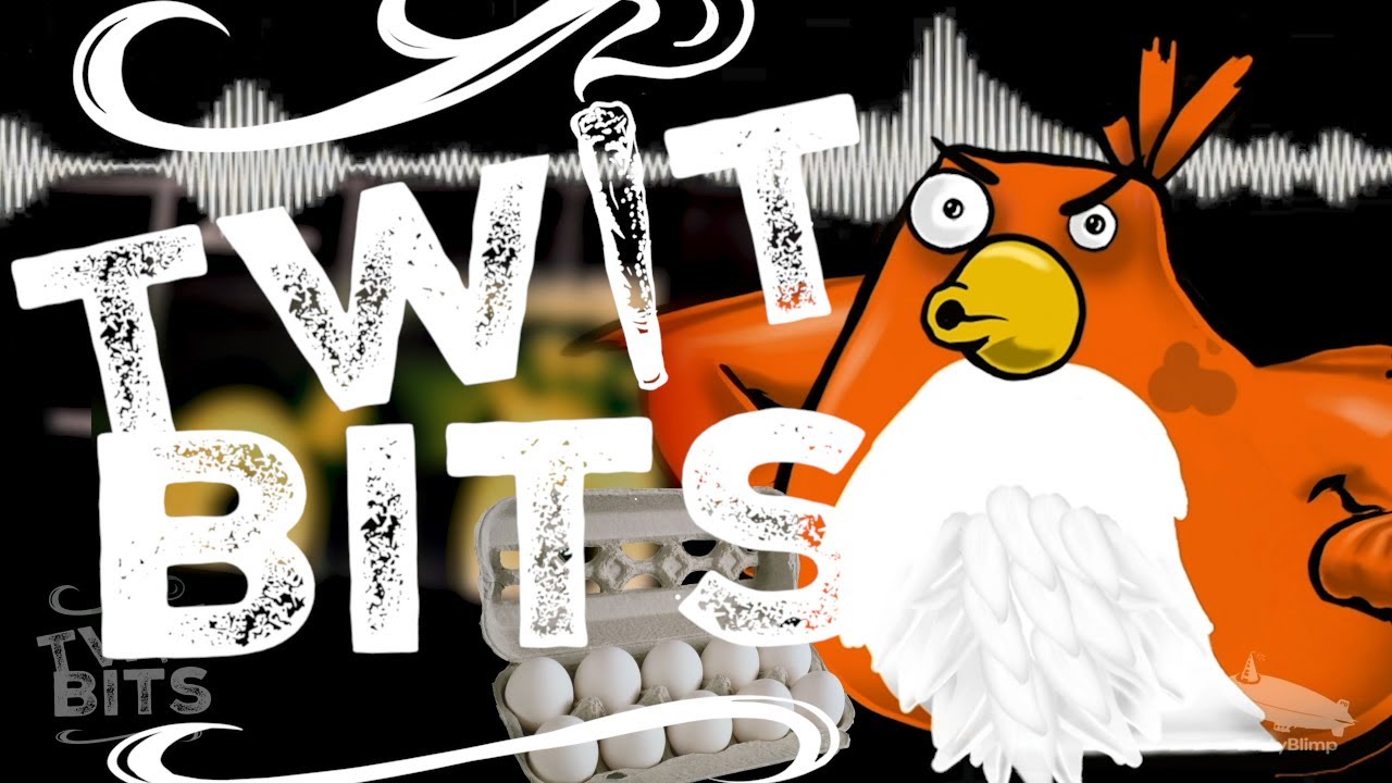 TWIT BITS EXPOSED What's REALLY Going On Behind The Scenes
