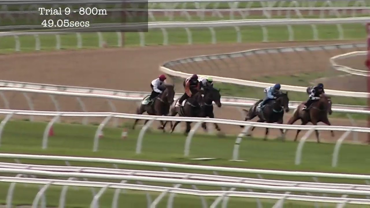 Flemington Jumpouts | 26 September 2014 | Heat 9