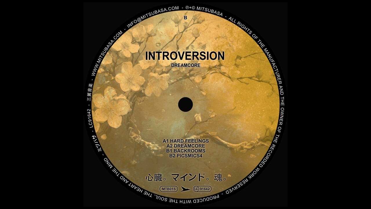 Introversion - Backrooms [MTB015]