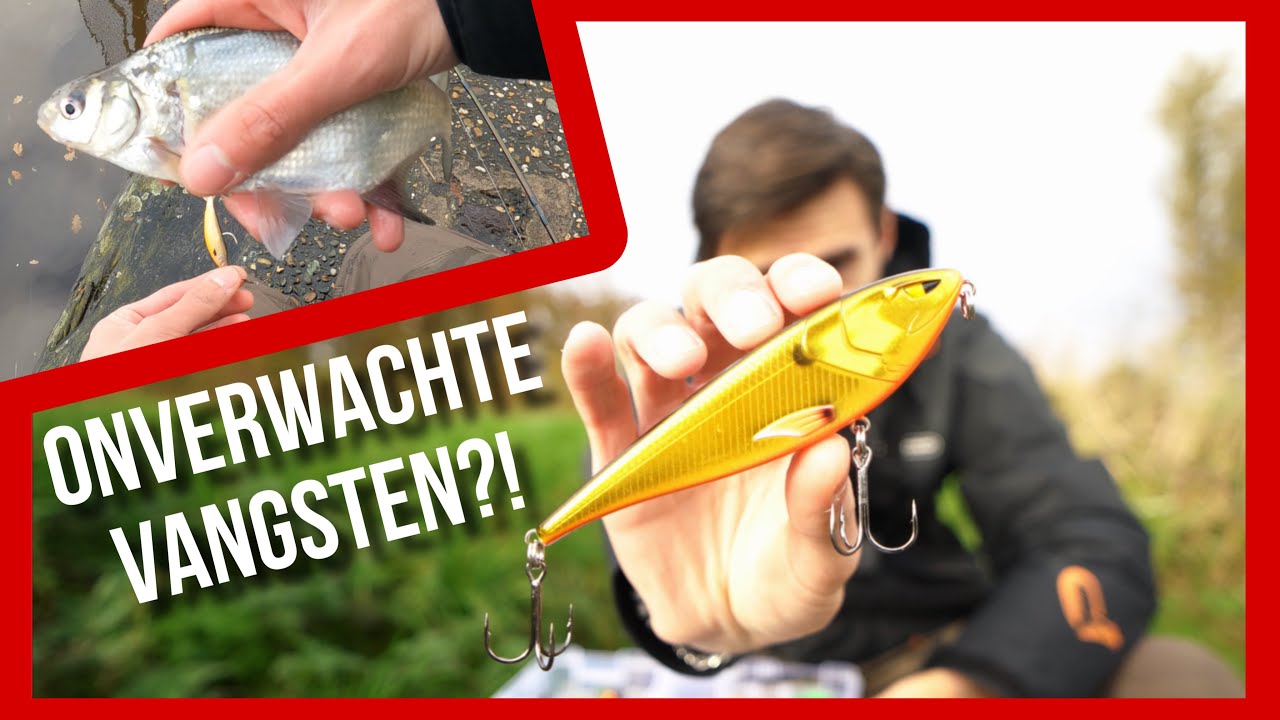 IK VANG HELE ONVERWACHTE VISSEN IN ELBURG?!