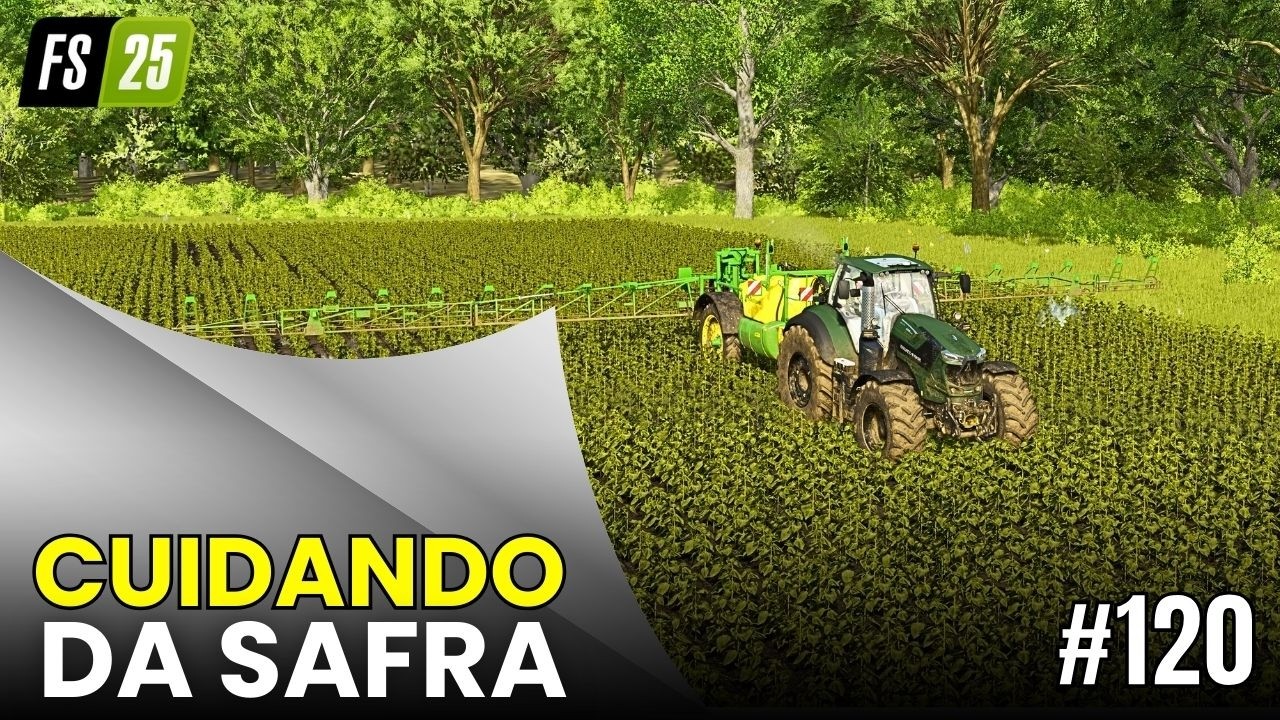 #120 Começar Zero | Passamos Herbicida e Fertilizante no Girassol | Farming Simulator 25
