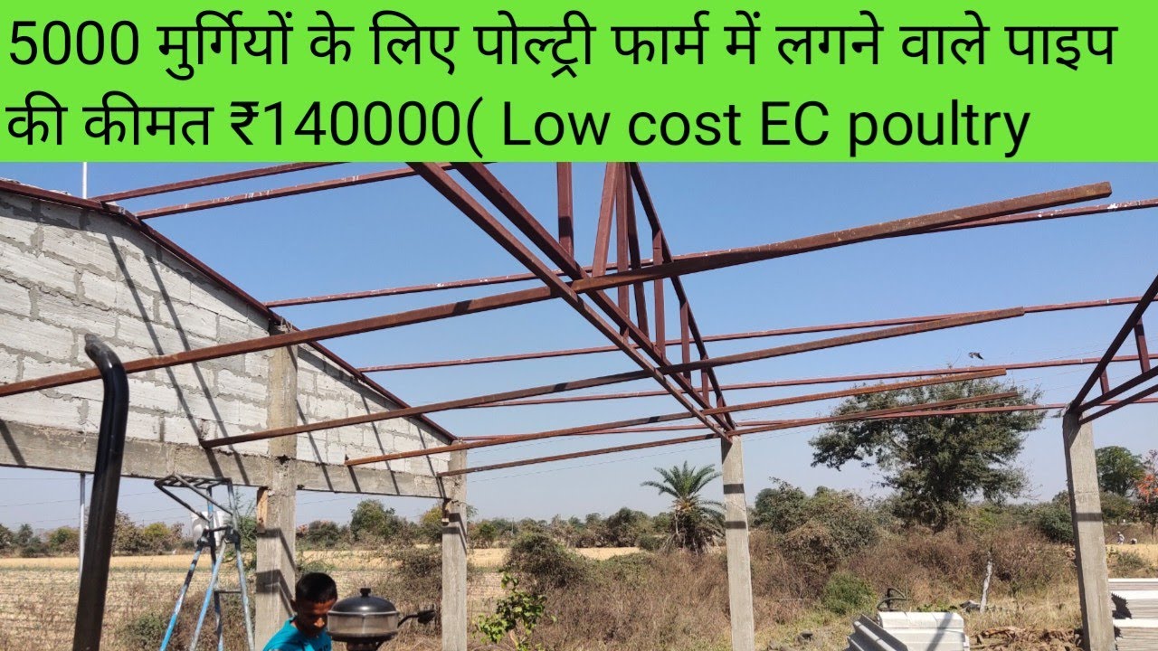 5000 मुर्गियों के लिए पोल्ट्री फार्म में लगने वाले पाइप की कीमत ₹140000( Low cost EC poultry farm)