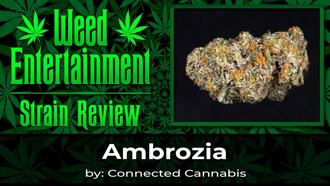 Ambrozia - by Connected Cannabis - Review - Sept 2025
