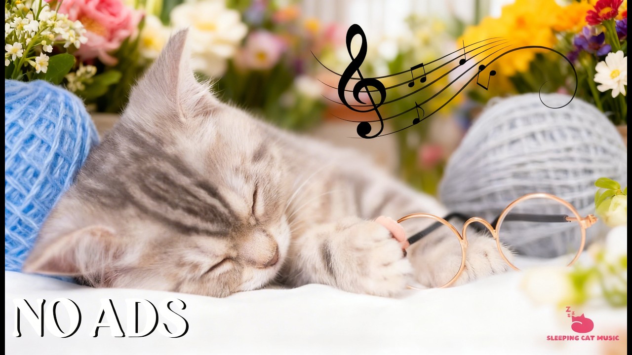 Healing Music for Cat 🐱 Cozy Fireplace Room ASMR for Deep Sleep, Healing, Rest