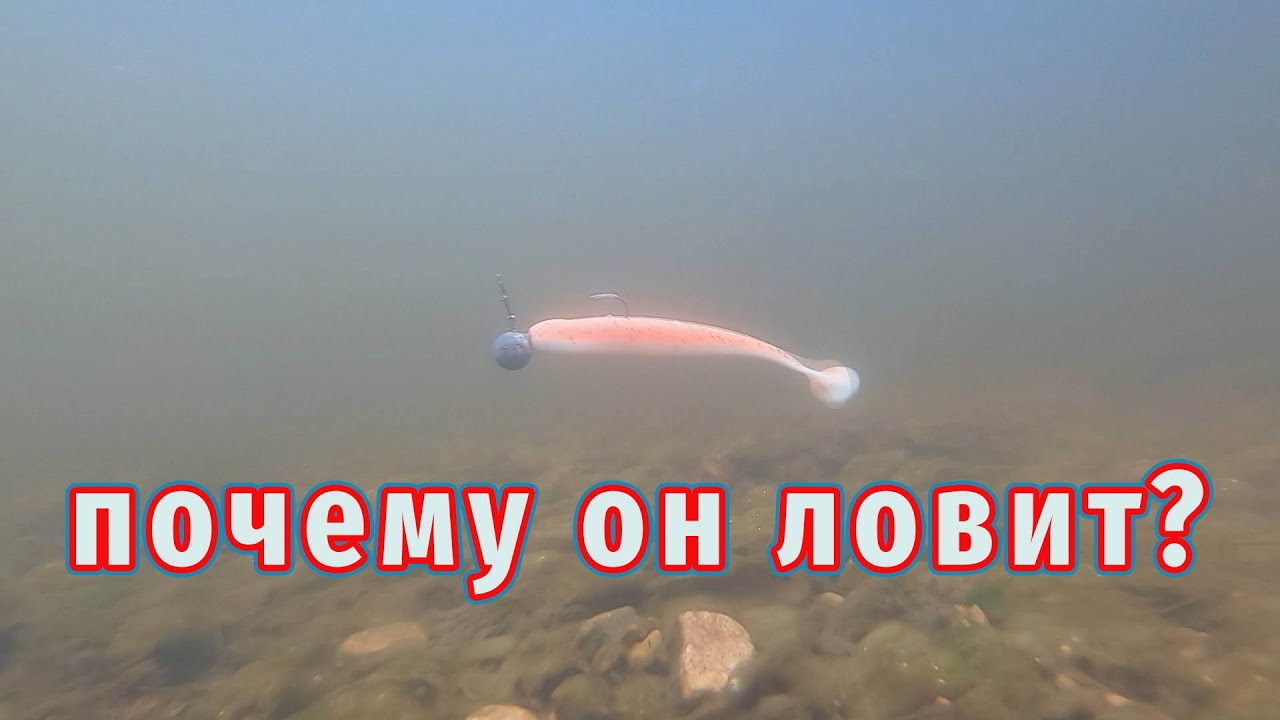 Как РАБОТАЕТ Уловистый силикон ПОД ВОДОЙ?