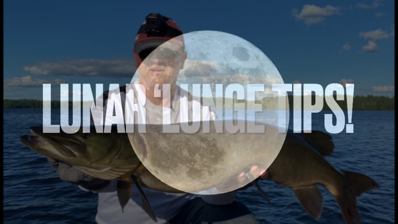 Lunar &lsquo;Lunge Secrets!