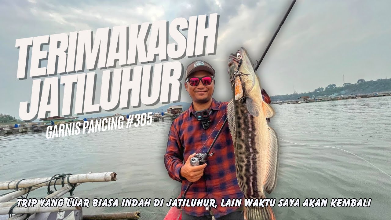 FOKUS CARI BABON TOMAN WADUK JATILUHUR || MANCING DIHARI TERAHIR YANG MEMUASKAN ALHAMDULILLAH