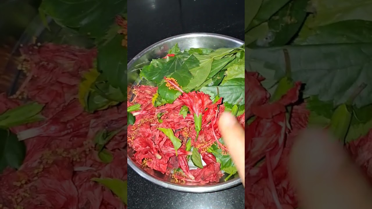 Gudhal ke phool or patti se 🤔 mene banaya hair oil / watch you try again 🥰🥰