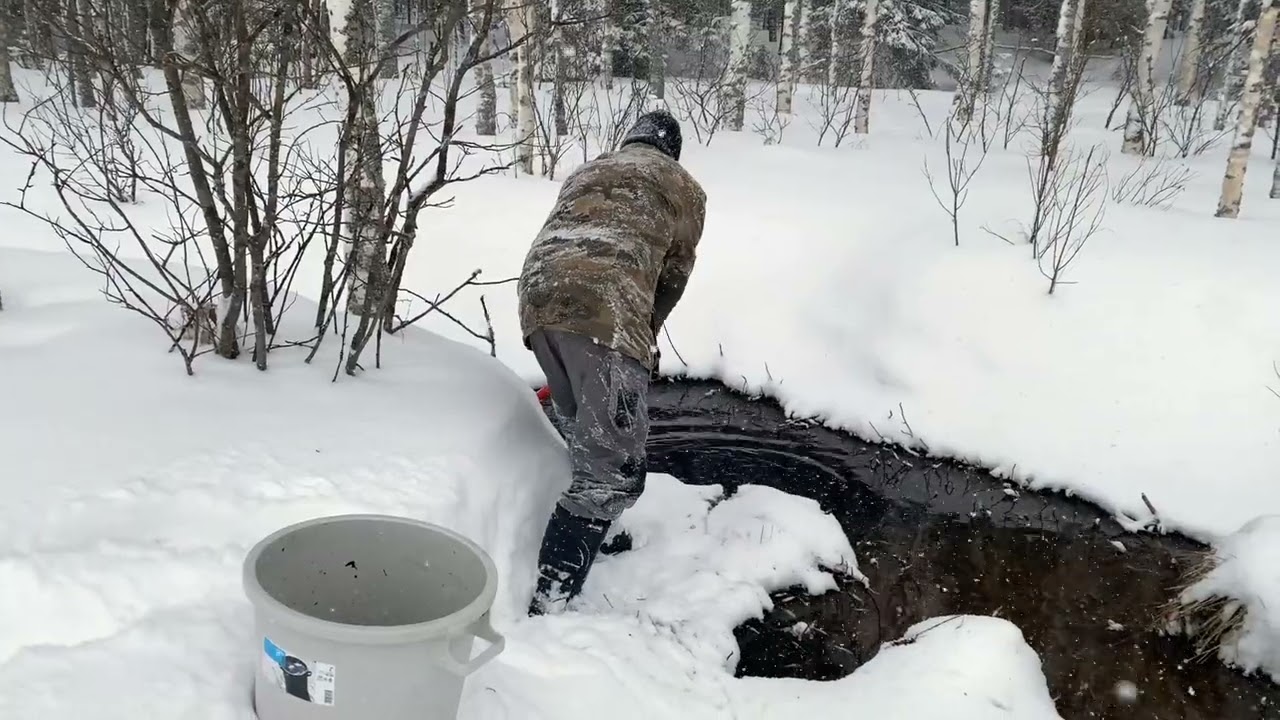Kuluntajärvi   3/2023