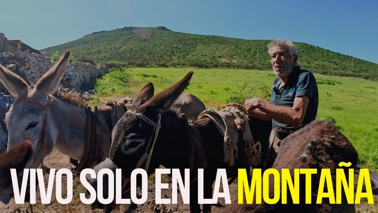 LAS HIERBAS DE LA MONTAÑA ME SANAN