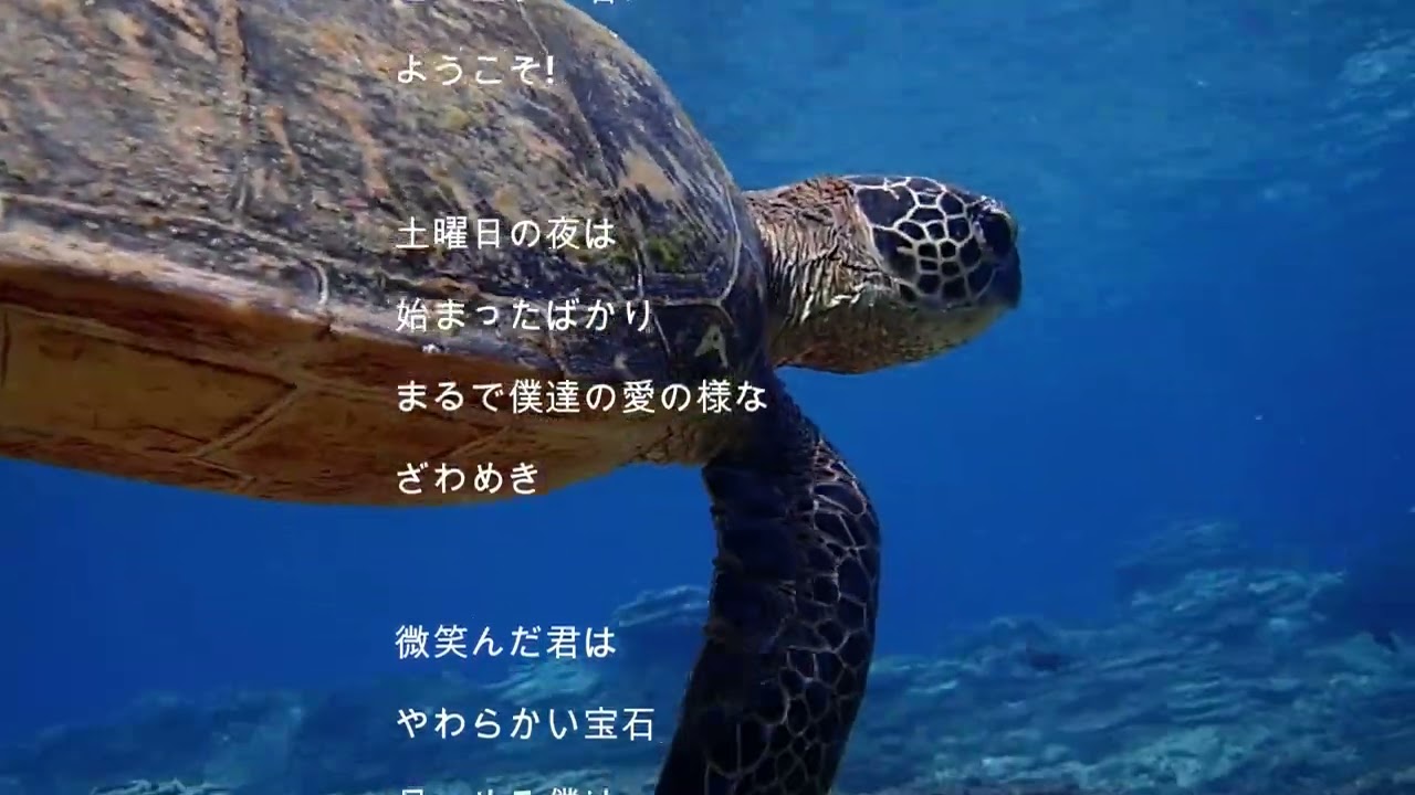 土曜日の恋人