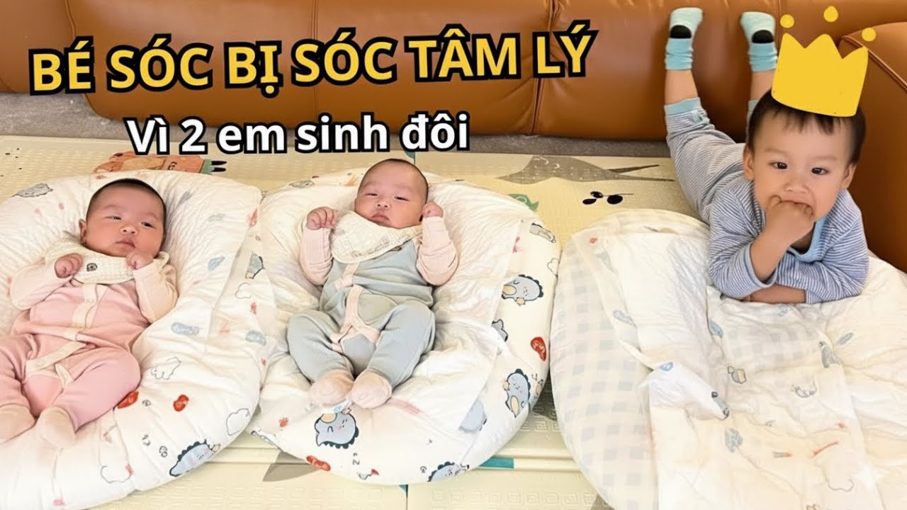 13🇩🇪Mình đã hối hận khi sinh song thai??? Làm giổ Ông, cuộc sống ở Đức 