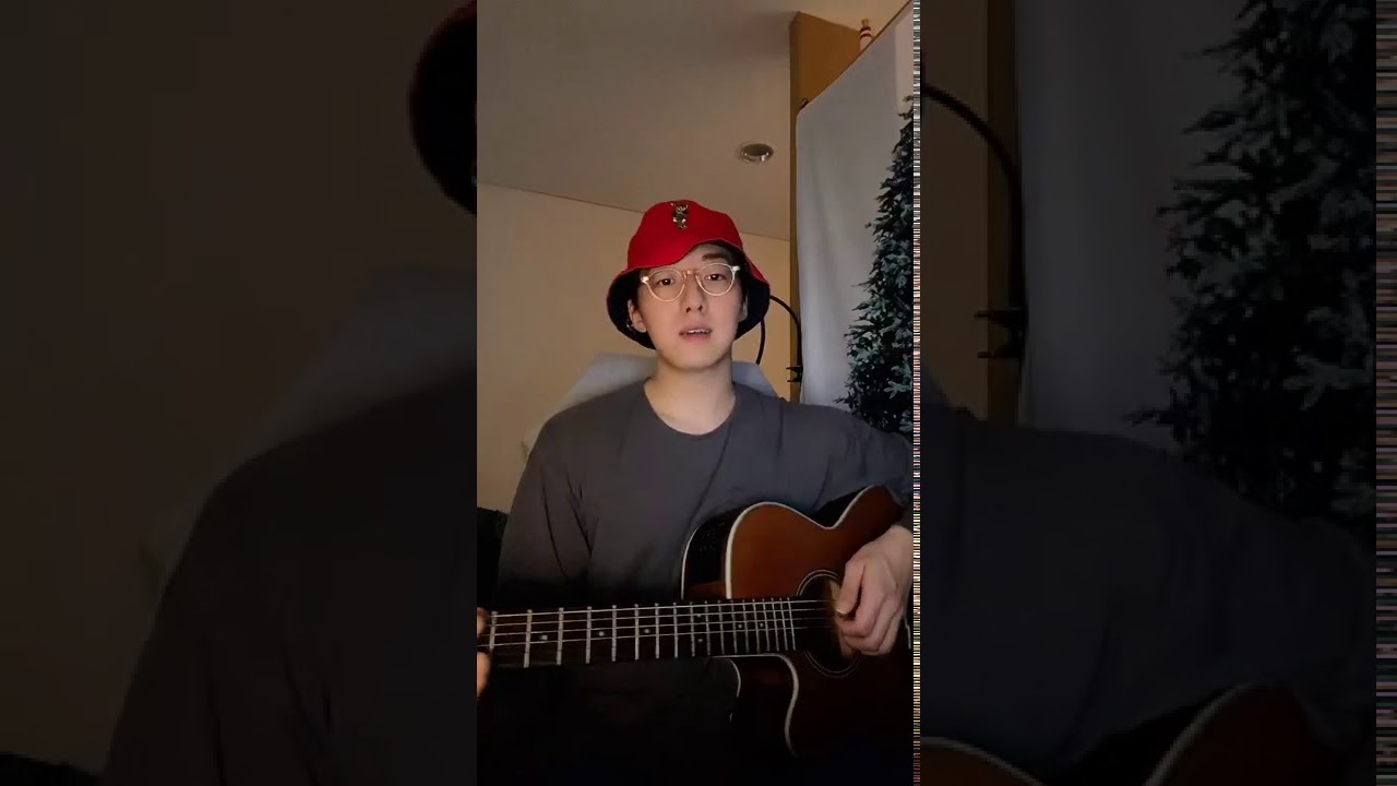 Vincent (Starry, Starry Night) - Don McLean  (cover by 박현수 Noah Park)