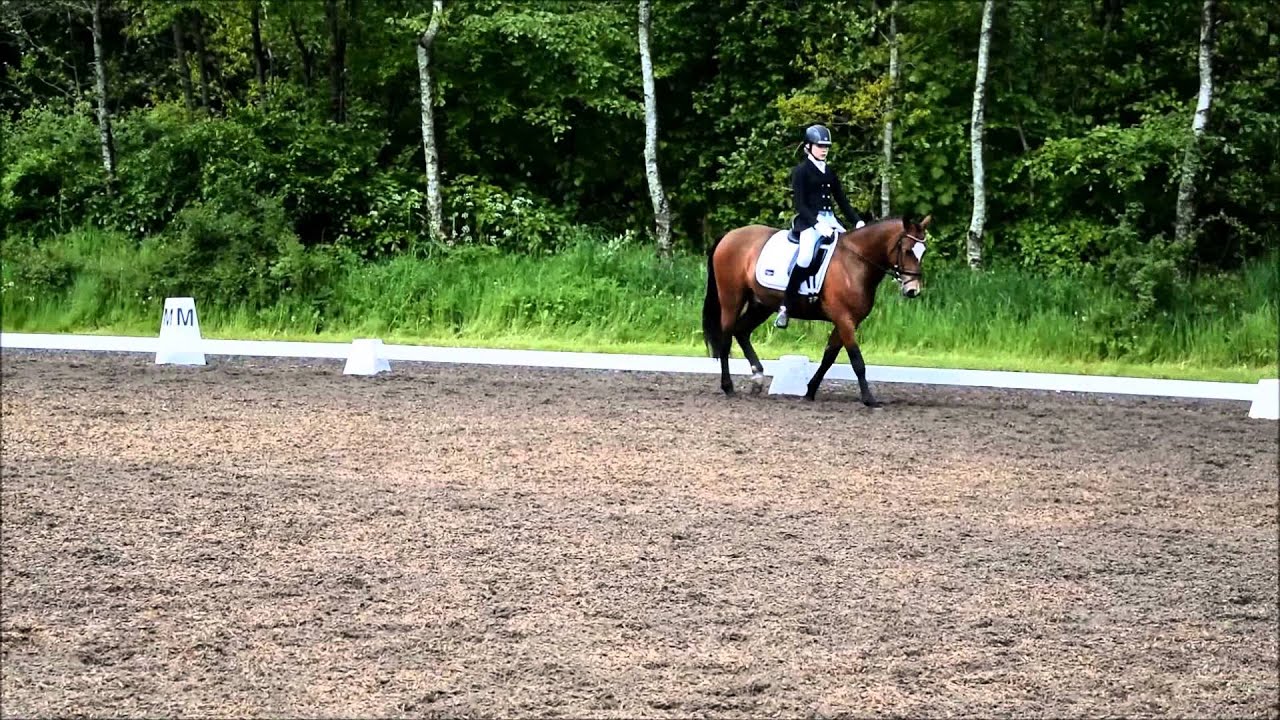 Vest Danskmesterskab 2015 i Arden