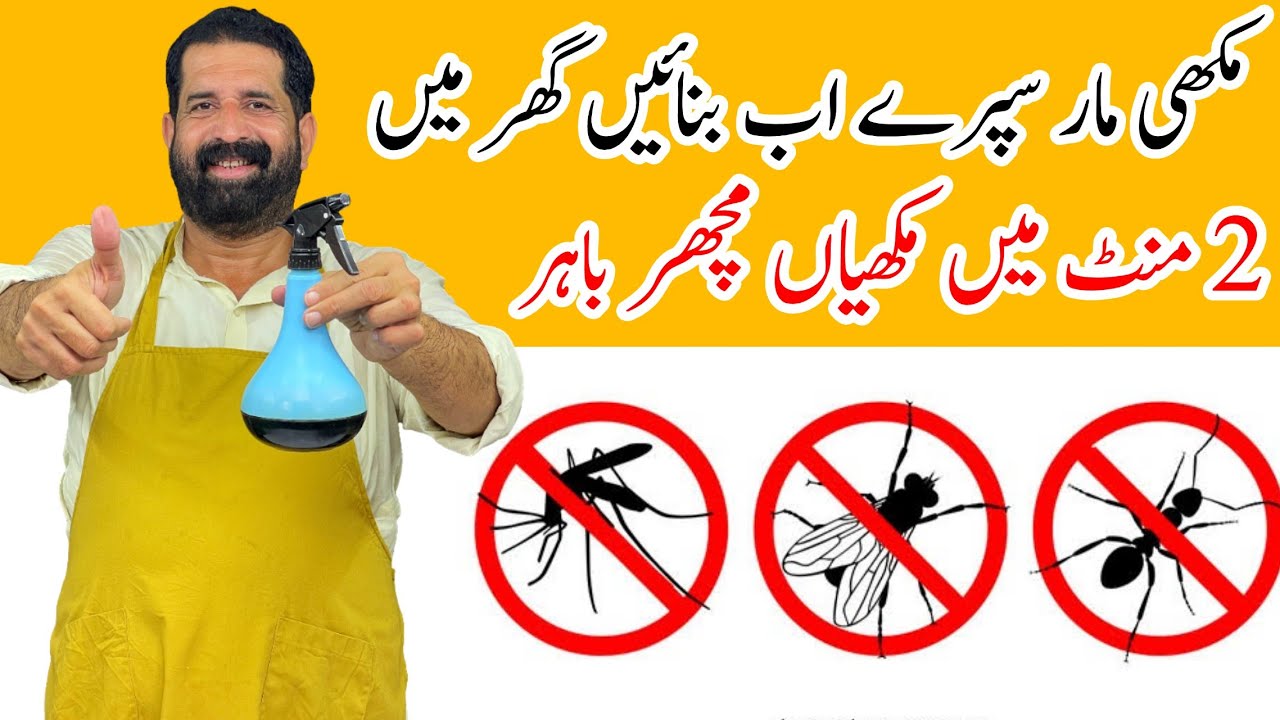 Ghar Se Makhiyan Bhagany Ka Asan Tarika | Get Rid Of Flies In Rainy Season | Hacks | BaBa Food RRC