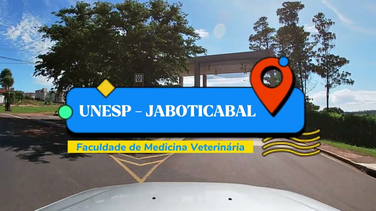 UNESP - JABOTICABAL / SP