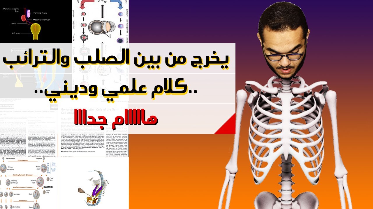 تفسير يخرج من بين الصلب والترائب |الإعجاز العلمي |العلم والدين